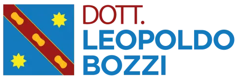 logo bozzi