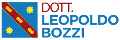 logo bozzi